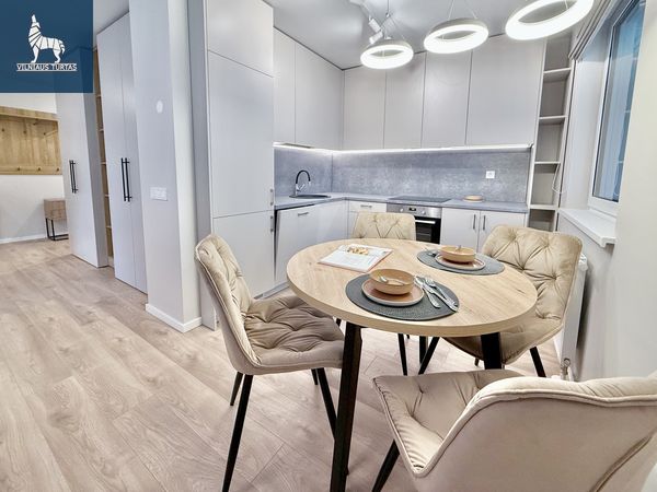 Vilnius, Šnipiškės