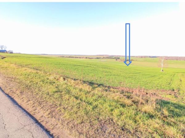 Kauno r. sav., Didžiosios Lapės