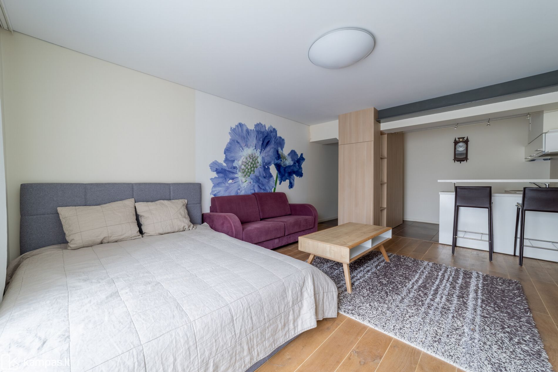 Main Image Palanga, A. Mickevičiaus g.