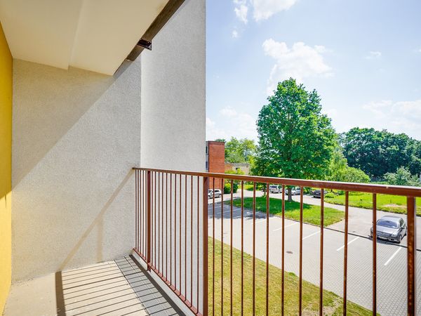 Elektrėnų sav., Vievis