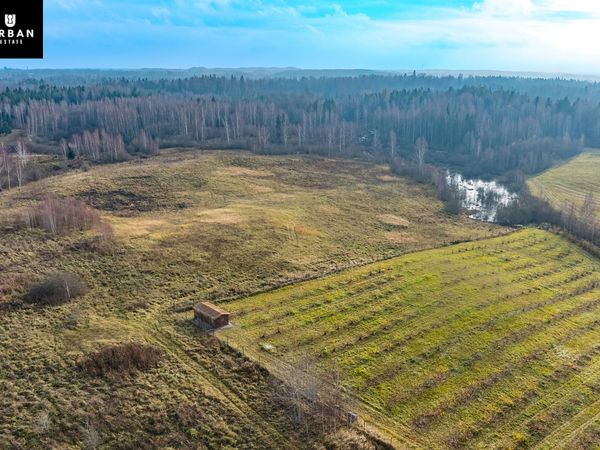 Vilniaus r. sav., Levydonys