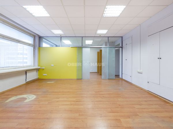 Vilnius, Naujamiestis