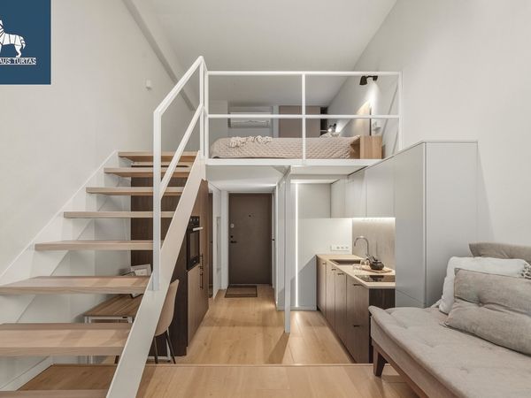 Vilnius, Šnipiškės