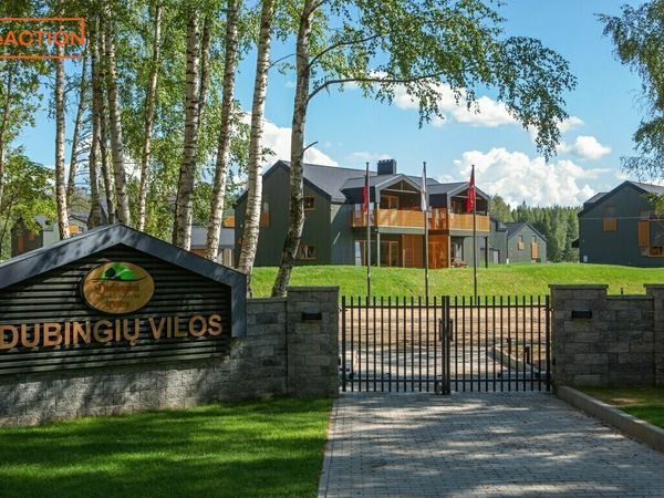 Molėtų r. sav., Dubingiai