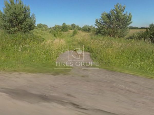 Klaipėdos r. sav., Griežiai