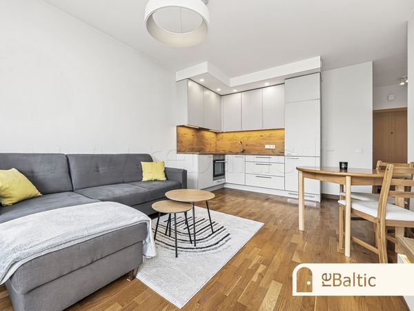 Vilnius, Šnipiškės