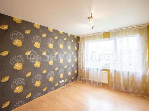 Šiauliai, Lieporiai