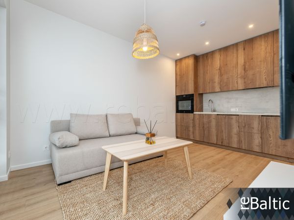 Vilnius, Šnipiškės