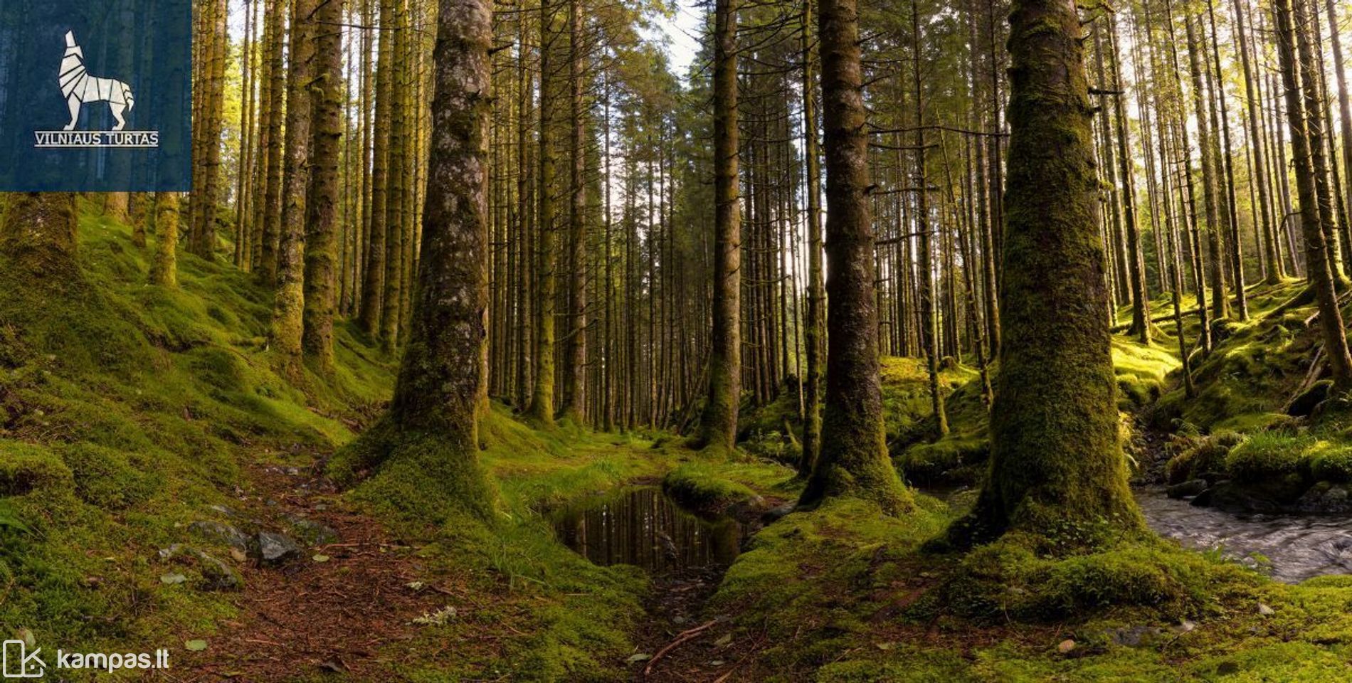 Main Image Panevėžio r. sav., Mickeliūnai