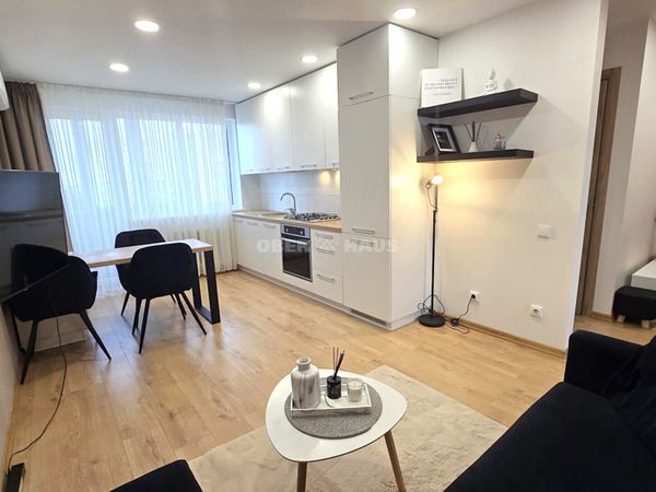 Panevėžys, Centras