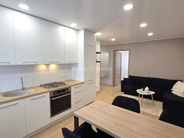 Panevėžys, Centras