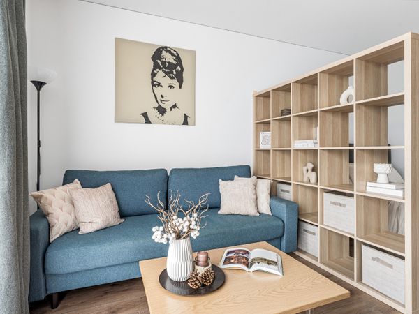 Vilnius, Šnipiškės