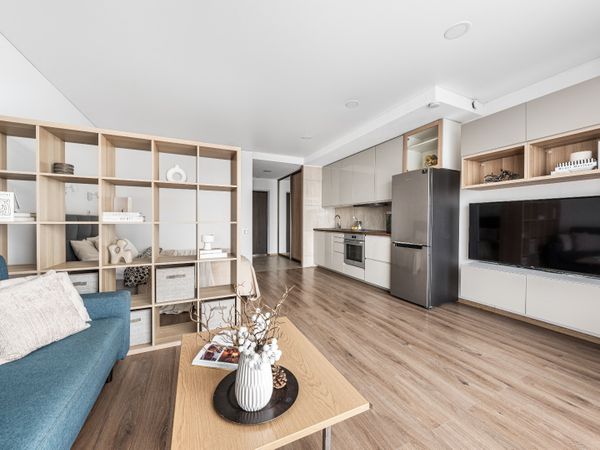 Vilnius, Šnipiškės