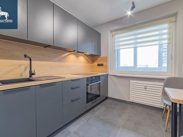 Vilnius, Naujamiestis