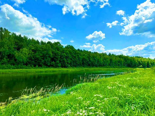 Alytaus r. sav., Panemuninkai