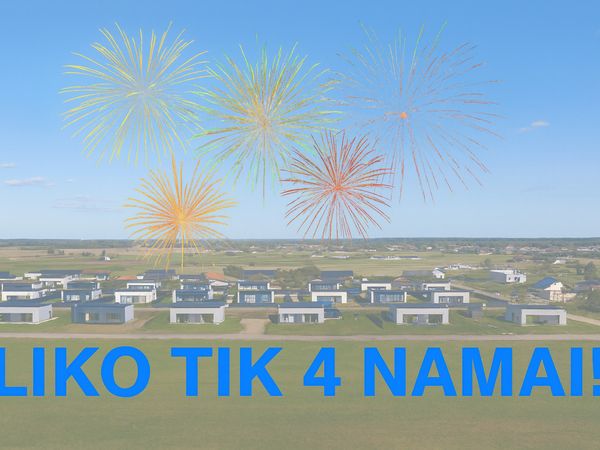 Kėdainių r. sav., Janušava