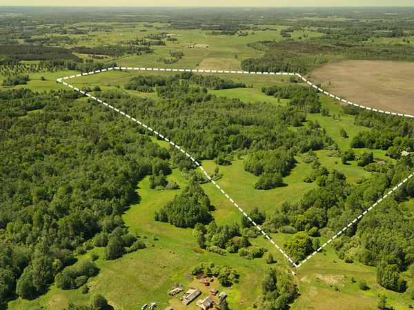 Molėtų r. sav., Janušiškės