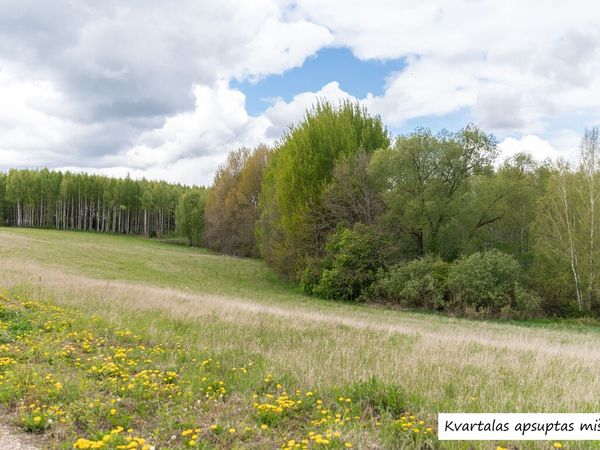 Molėtų r. sav., Antakščiai