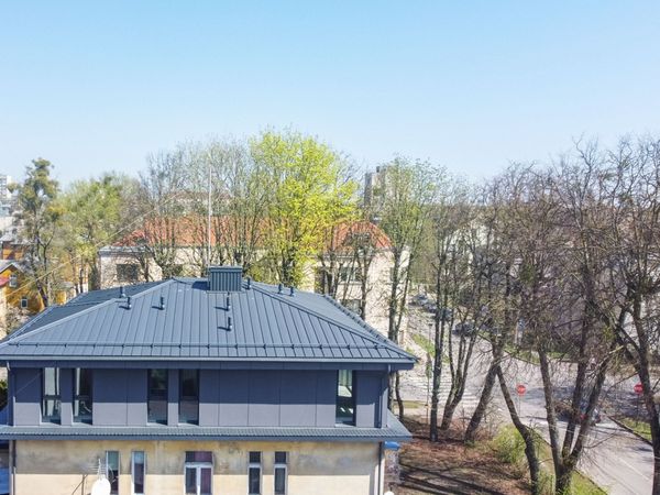 Kaunas, Žaliakalnis