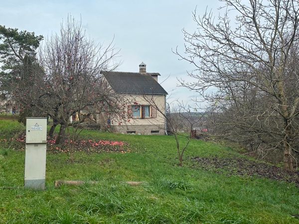 Kauno r. sav., Naujatriobiai