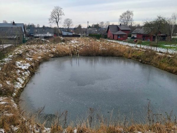 Telšių r. sav., Tryškiai