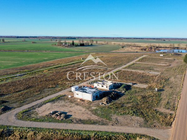 Šiaulių r. sav., Dainos