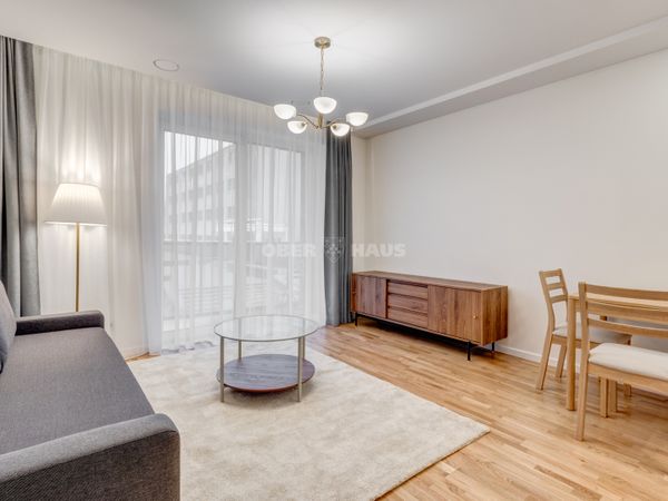 Vilnius, Naujamiestis