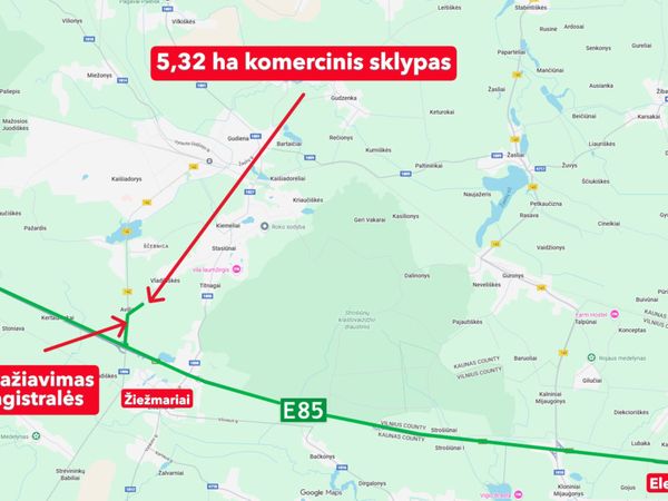 Kaišiadorių r. sav., Vladikiškės