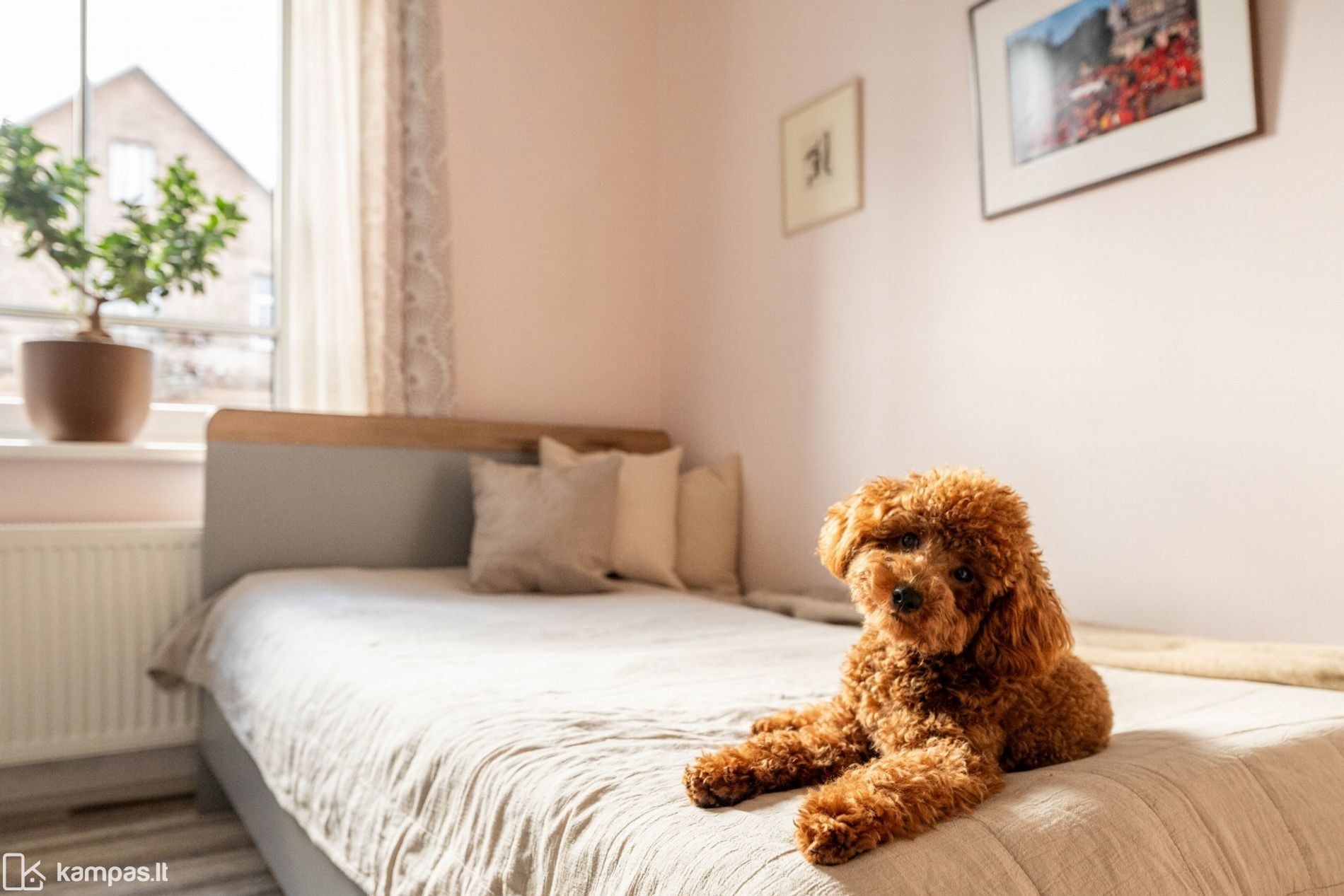 Main Image Vilnius, Žvėrynas, Treniotos g.