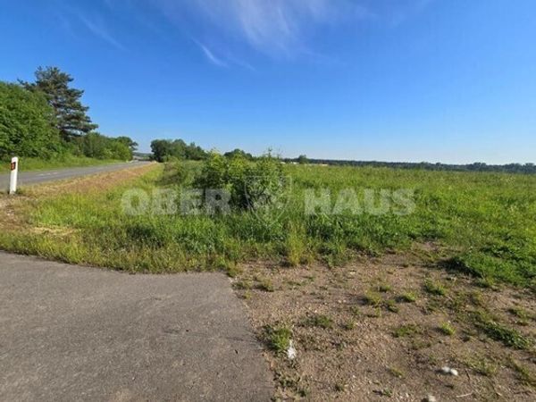 Trakų r. sav., Moluvėnai