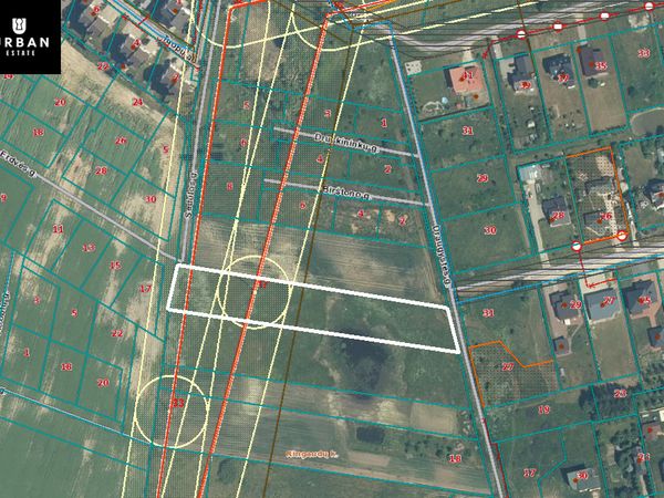 Kauno r. sav., Ringaudai