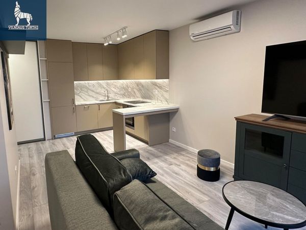 Vilnius, Šnipiškės