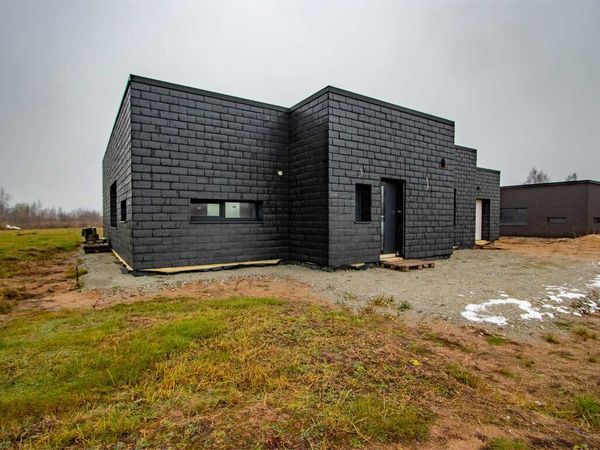 Panevėžio r. sav., Vyčiai