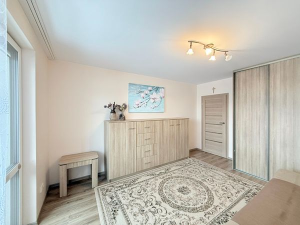 Panevėžys, Centras