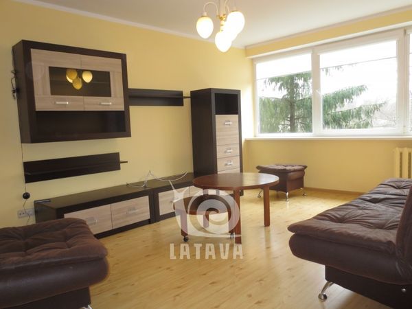 Kaunas, Žaliakalnis