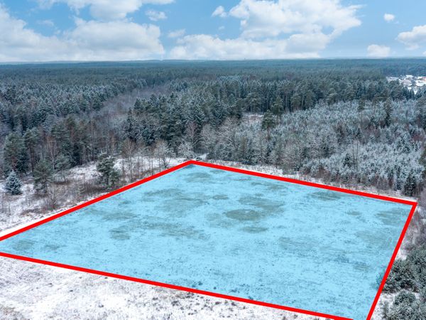 Vilniaus r. sav., Peteša