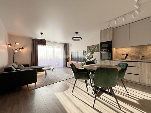 Vilnius, Šnipiškės