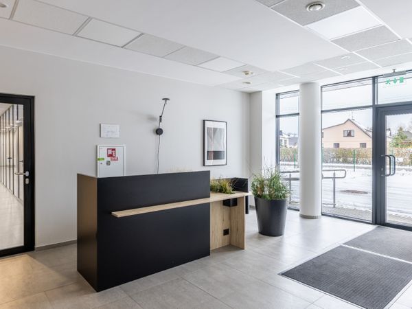 Kauno r. sav., Pabiržis