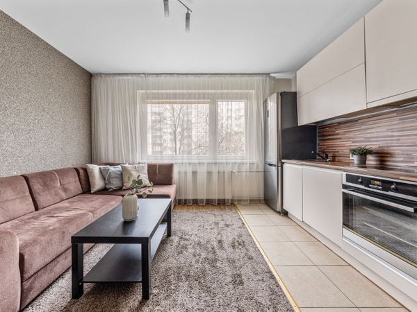 Vilnius, Šnipiškės