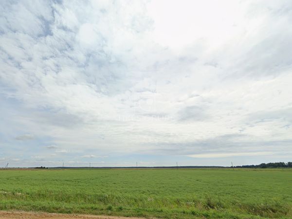 Klaipėdos r. sav., Dreverna