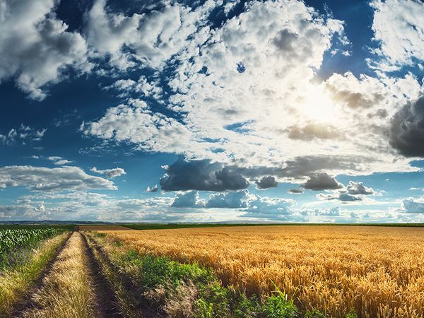 Pasvalio r. sav., Kiemėnai