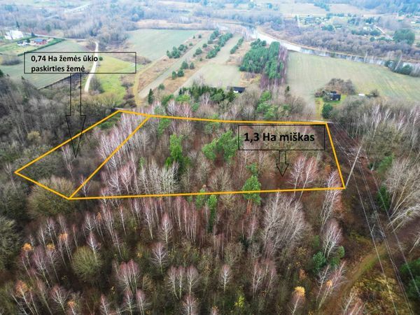 Jonavos r. sav., Upninkai