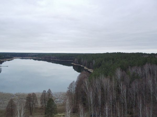 Lazdijų r. sav., Nasūtai