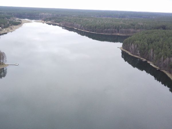 Lazdijų r. sav., Nasūtai