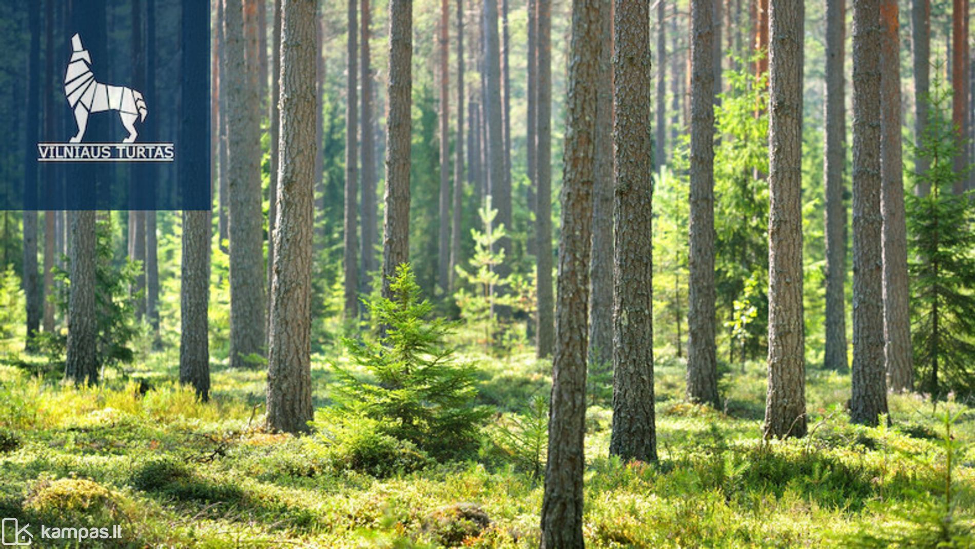 Main Image Vilniaus r. sav., Bratoniškės