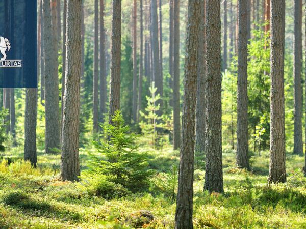 Vilniaus r. sav., Bratoniškės