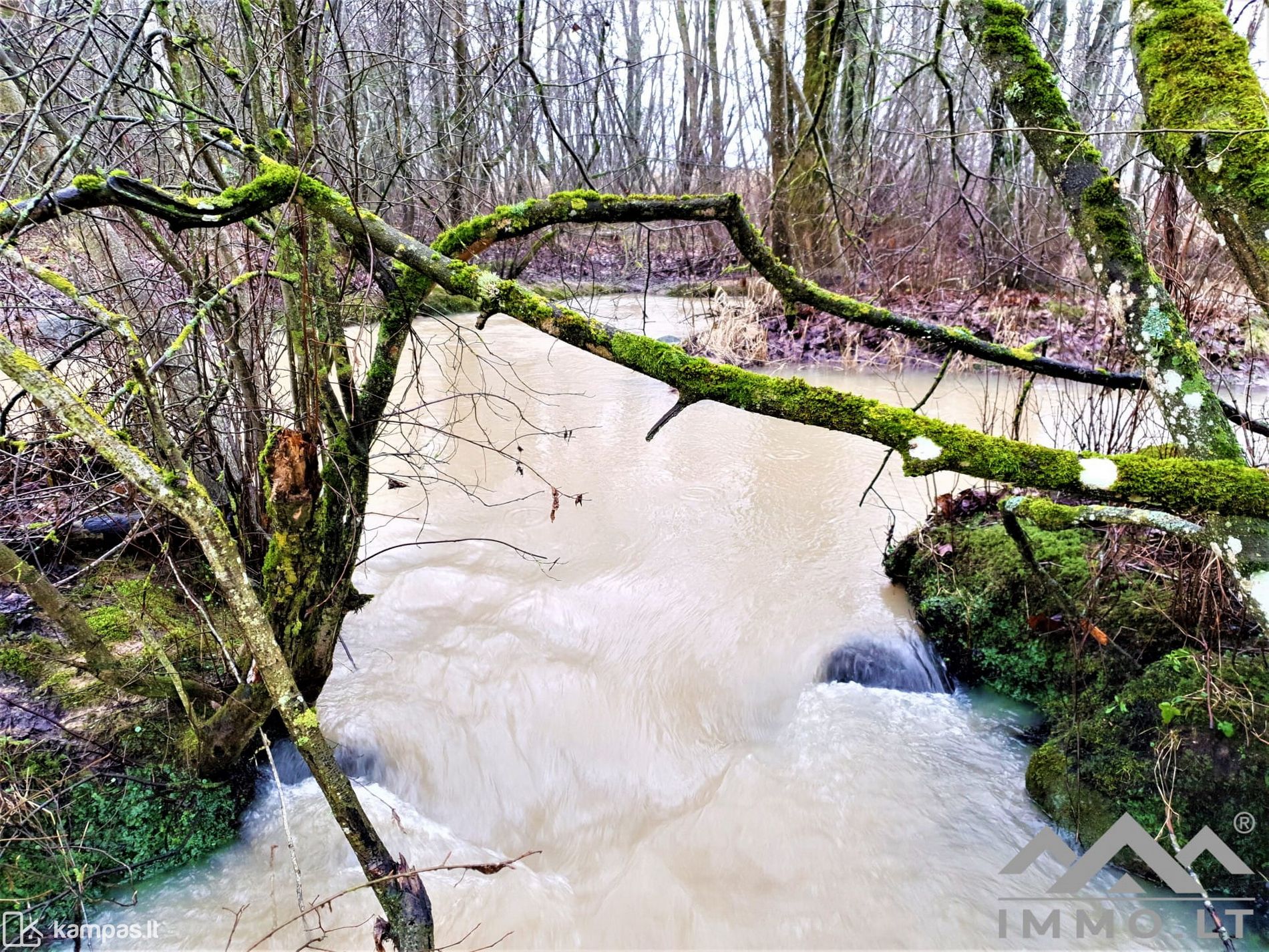 Main Image Skuodo r. sav., Ersla, Beržų g.