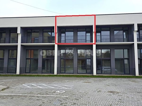 Panevėžys, Centras