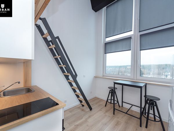 Vilnius, Žemieji Paneriai