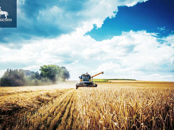 Akmenės r. sav., Balsiai